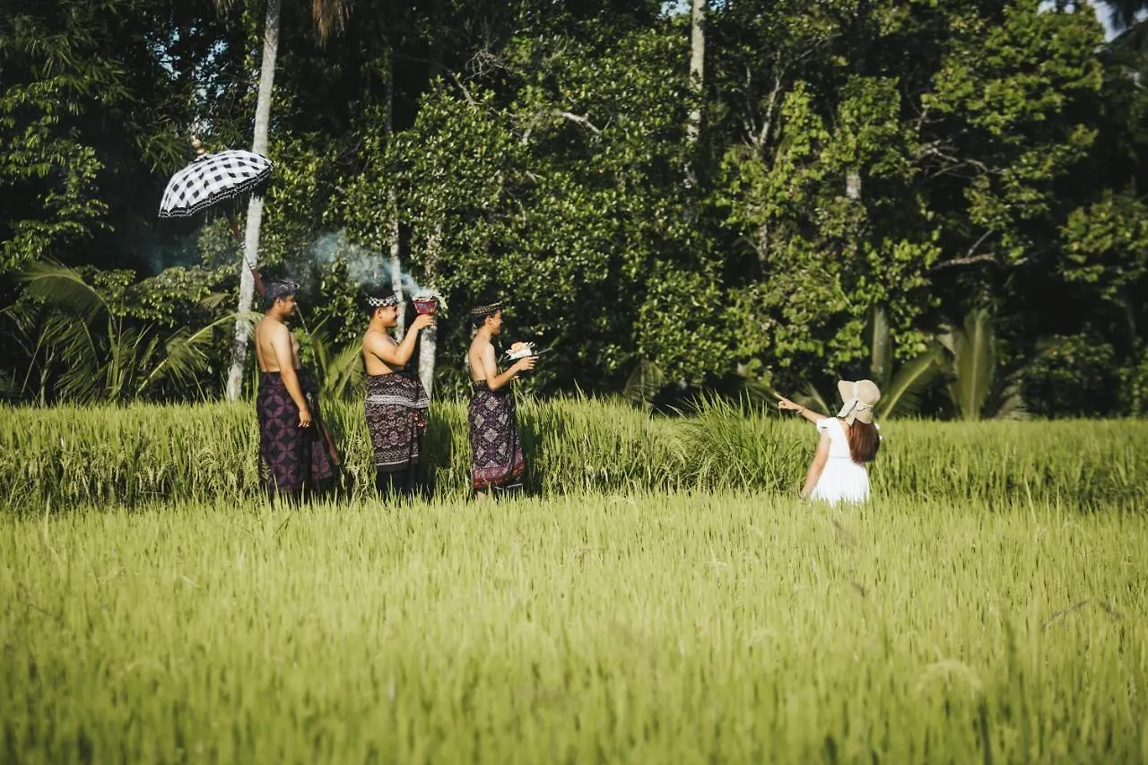 Bed & Breakfast Sunshine Villas Ubud Indonesia