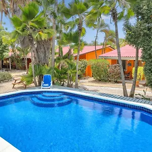 Tropical Divers Playa