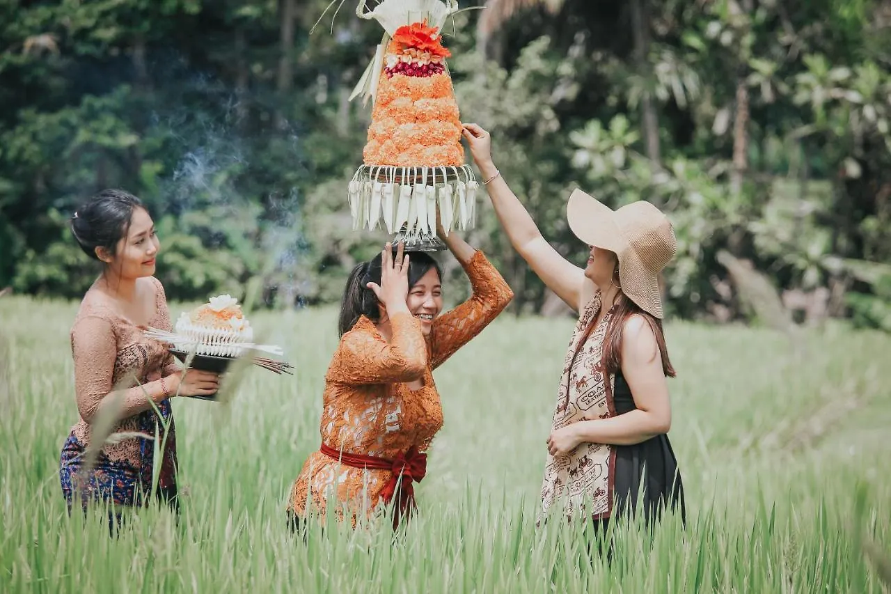 Sunshine Villas Ubud Indonesia